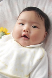 データについて